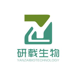 技術服務 企業數字化轉型與持續發展的核心引擎